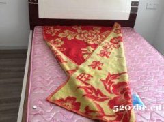 重庆陈家桥轻轨站旁，房地产学院对面，碧水云天也是一厅出租