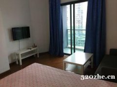 重庆无中介三峡广场旁东原ARC中央广场精装单配一室配置好出租
