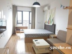 重庆东原D8一室精装出租，可短租，可月付