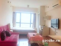 重庆汽博中心 整租 精装一室  家具电器齐全 轻轨房 叠彩城