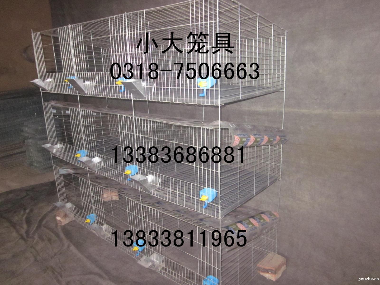 出售兔笼鸽笼鸡笼鹌鹑笼运输笼鹧鸪笼宠物笼狐狸笼狗笼猫笼 饲料